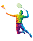 icon bedminton e1778786703473